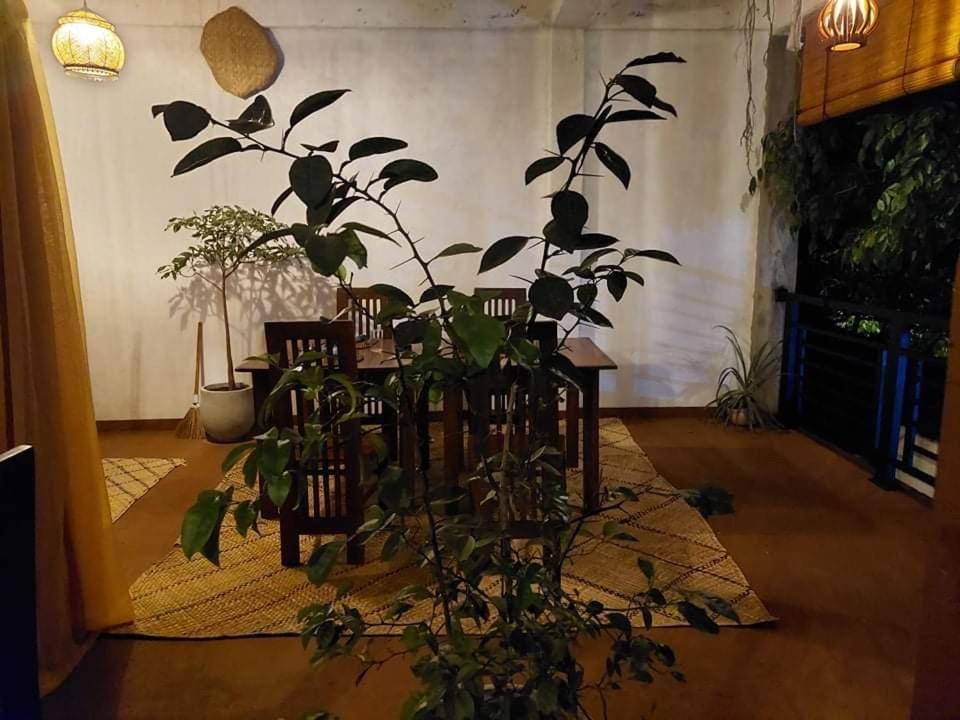 Kingcity Resort Anuradhapura Eksteriør bilde